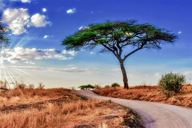 wanderlust travel in kenya